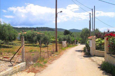 4578m² Land à Polygyros, Greece No. 59725 3