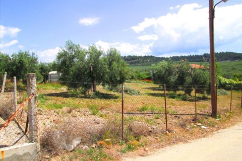 4578m² Land à Polygyros, Greece No. 59725 4