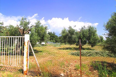 4578m² Land en Polygyros, Greece No. 59725 5