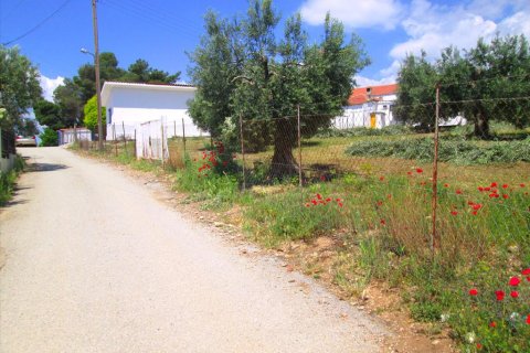 4578m² Land en Polygyros, Greece No. 59725 2