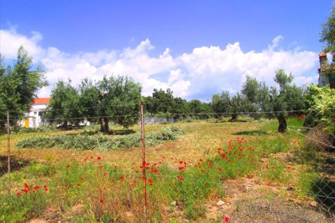 4578m² Land en Polygyros, Greece No. 59725 1