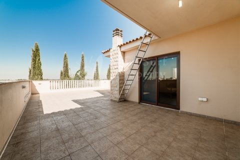 5 bedrooms Villa in Liopetri, Cyprus No. 36541 30