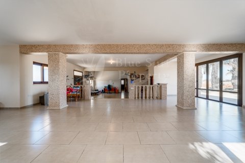 5 bedrooms Villa in Liopetri, Cyprus No. 36541 6