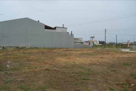 4250m² Land à Corinthia, Greece No. 59231 1