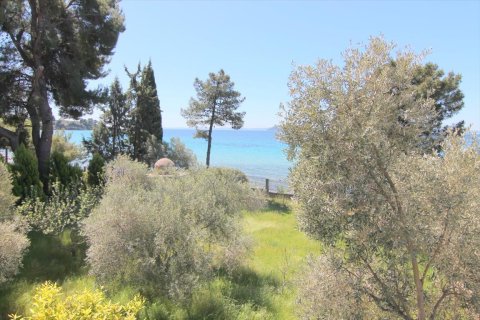 2 dormitorios House en Chalkidiki, Greece No. 59230 25