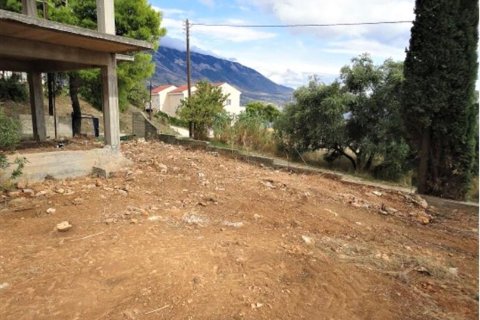 900m² Villa in Magnesia, Greece No. 56873 6