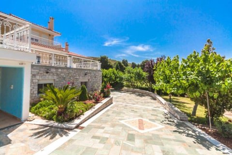 667m² Maisonnette à Lykovrysi, Greece No. 56438 9