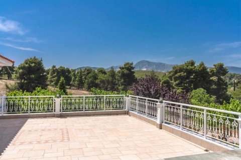 667m² Maisonnette à Lykovrysi, Greece No. 56438 10