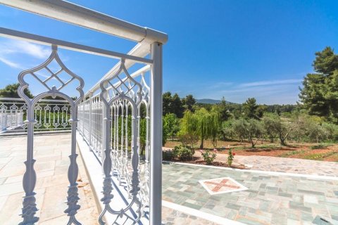 667m² Maisonnette à Lykovrysi, Greece No. 56438 4