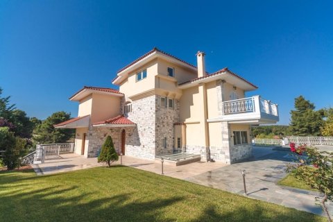 667m² Maisonnette à Lykovrysi, Greece No. 56438 14