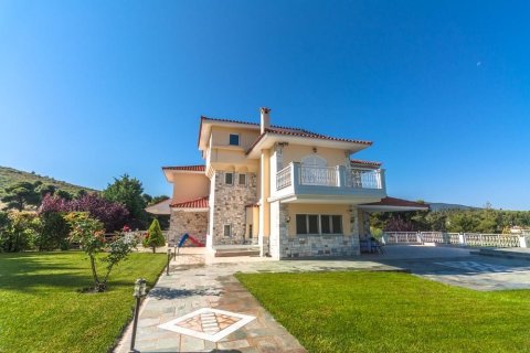 667m² Maisonnette à Lykovrysi, Greece No. 56438 13