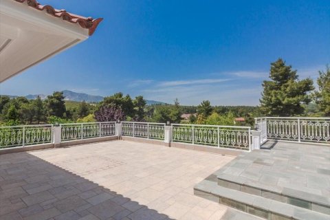 667m² Maisonnette à Lykovrysi, Greece No. 56438 11