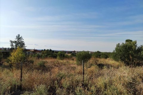 3685m² Land in Chalkidiki, Greece No. 56430 3