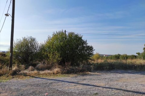 3685m² Land à Chalkidiki, Greece No. 56430 4