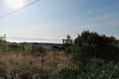 3685m² Land in Chalkidiki, Greece No. 56430 1