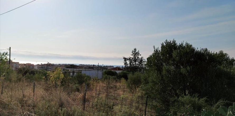 3685m² Land in Chalkidiki, Greece No. 56430