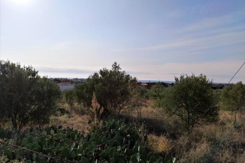 3685m² Land in Chalkidiki, Greece No. 56430 2