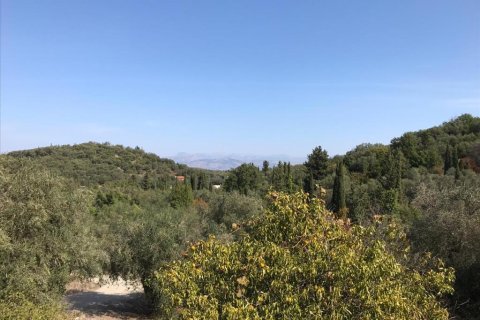 4000m² Land in Corfu, Greece No. 57848 13