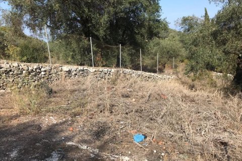 4000m² Land in Corfu, Greece No. 57848 7