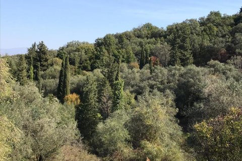 4000m² Land in Corfu, Greece No. 57848 17