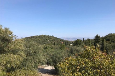 4000m² Land in Corfu, Greece No. 57848 12