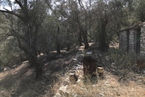 4000m² Land in Corfu, Greece No. 57848 21