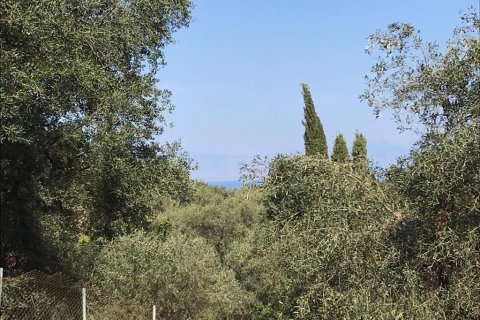 4000m² Land en Corfu, Greece No. 57848 14