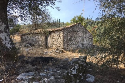 4000m² Land in Corfu, Greece No. 57848 18