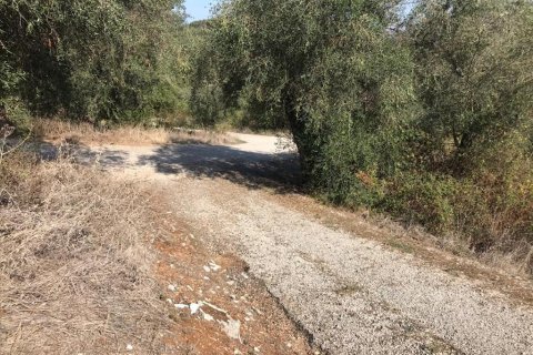 4000m² Land en Corfu, Greece No. 57848 8