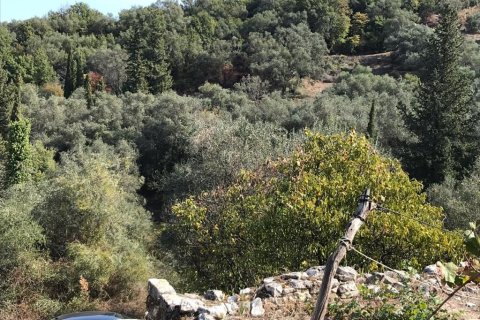 4000m² Land in Corfu, Greece No. 57848 16