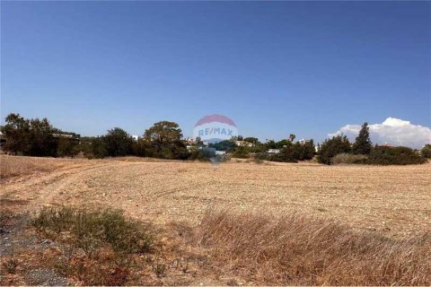 11039m² Land in Moni, Cyprus No. 64779 5