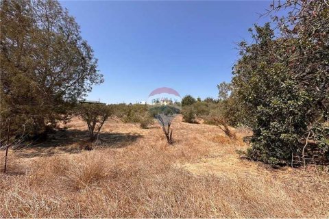 11039m² Land in Moni, Cyprus No. 64779 8