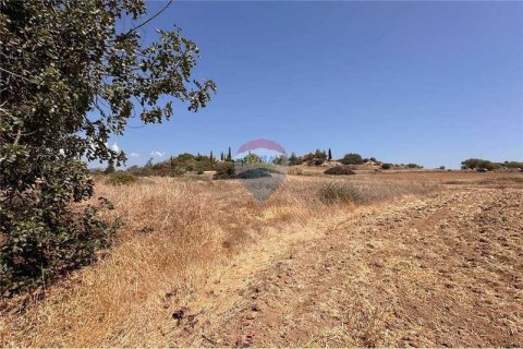 11039m² Land in Moni, Cyprus No. 64779 9