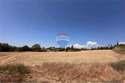 11039m² Land in Moni, Cyprus No. 64779 4