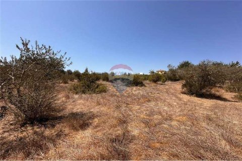 11039m² Land in Moni, Cyprus No. 64779 7