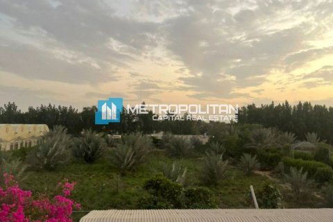 23225.6m² Land in Abu Dhabi, UAE No. 4257 10