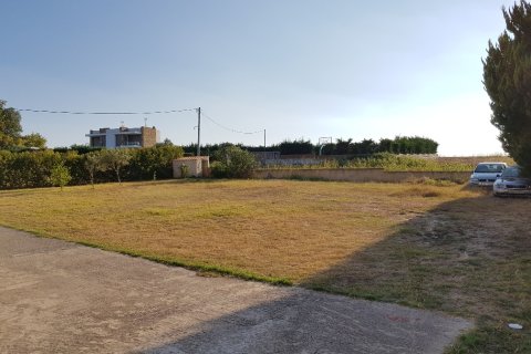 226m² Negocio en Chalkidiki, Greece No. 57907 9