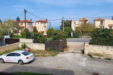 226m² Affaires à Chalkidiki, Greece No. 57907 3