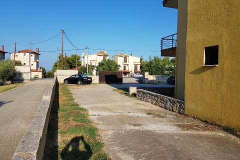 226m² Affaires à Chalkidiki, Greece No. 57907 8