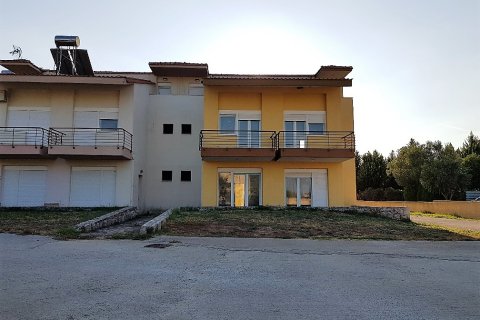 226m² Affaires à Chalkidiki, Greece No. 57907 1