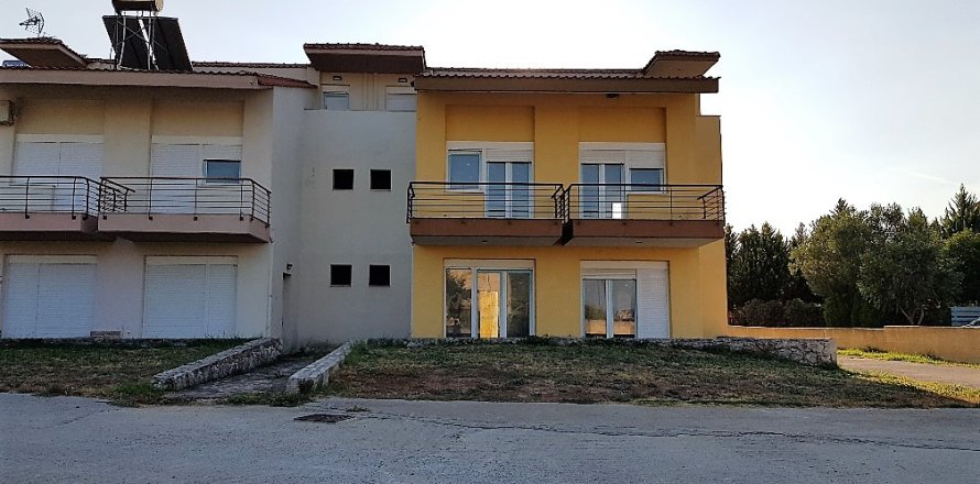 226m² Business in Chalkidiki, Greece No. 57907