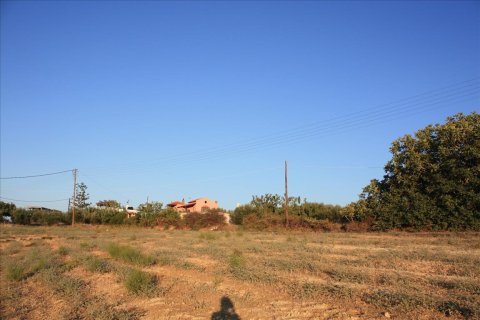 25000m² Land en Rethymno, Greece No. 57904 7