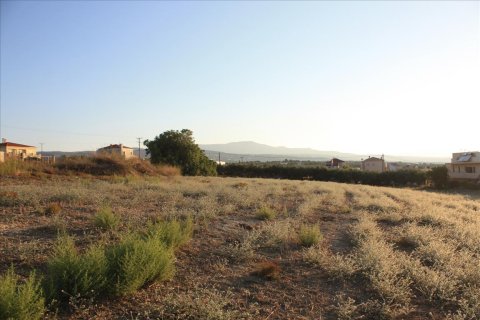 25000m² Land en Rethymno, Greece No. 57904 6