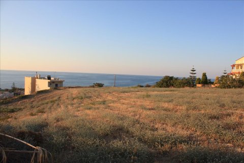 25000m² Land in Rethymno, Greece No. 57904 9