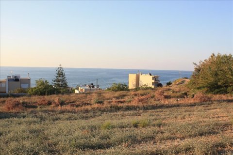 25000m² Land in Rethymno, Greece No. 57904 5