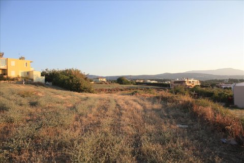 25000m² Land à Rethymno, Greece No. 57904 11