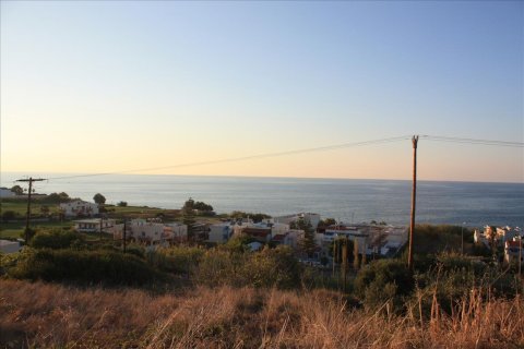 25000m² Land en Rethymno, Greece No. 57904 13