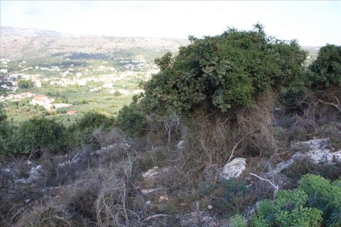 11842m² Land in Vamos, Greece No. 58019 11