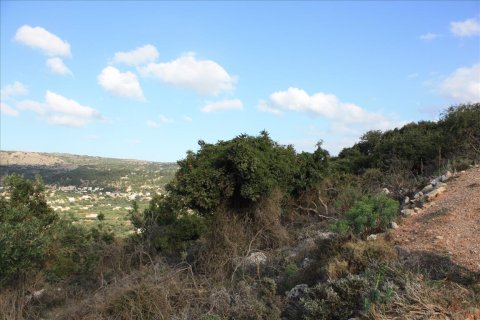 11842m² Land à Vamos, Greece No. 58019 3