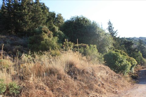 11842m² Land in Vamos, Greece No. 58019 8